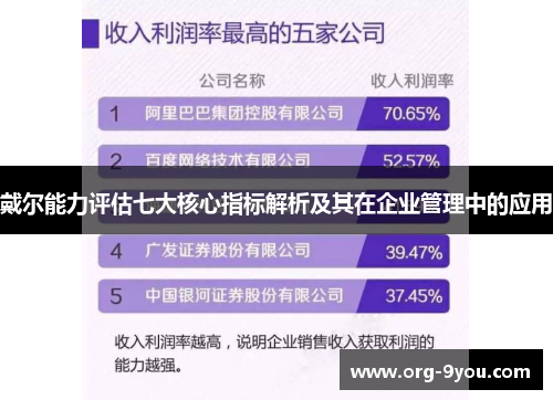 戴尔能力评估七大核心指标解析及其在企业管理中的应用
